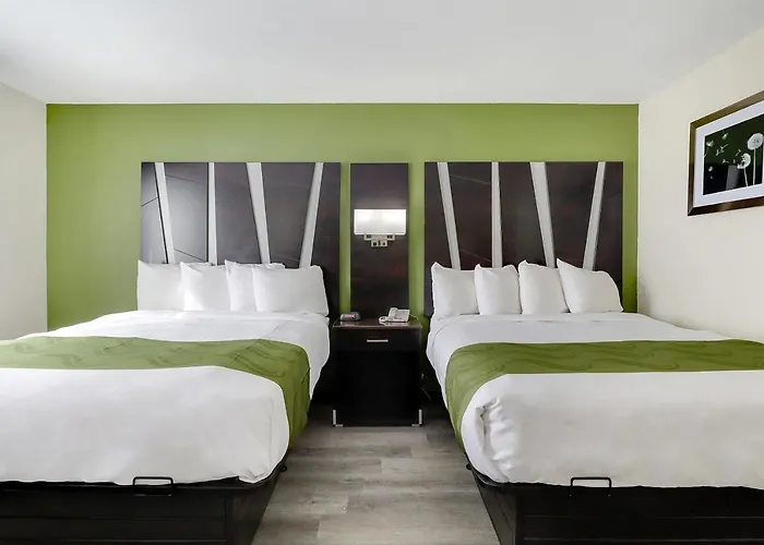 Quality Suites Albuquerque Airport